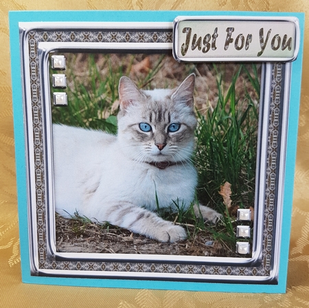 JJ LOVE MY CAT 4 8X8 by Deloraine Neubauer