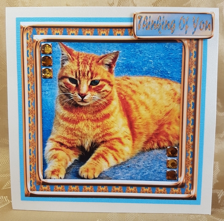 JJ LOVE MY CAT 7 8X8 by Deloraine Neubauer
