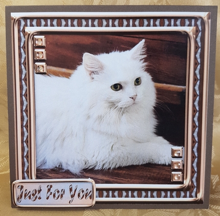 JJ LOVE MY CAT 8 8X8 by Deloraine Neubauer