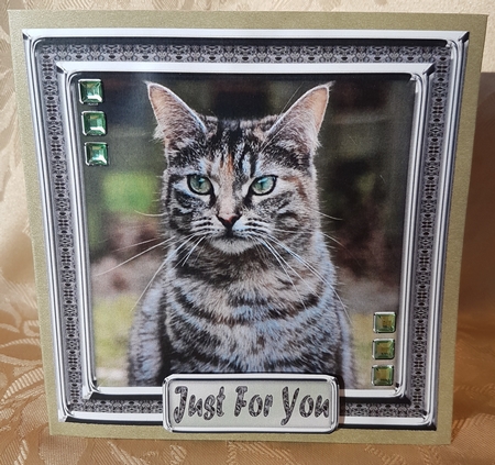  JJ LOVE MY CAT 9 8X8 by Deloraine Neubauer
