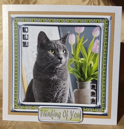 JJ LOVE MY CAT 11 8X8  by Deloraine Neubauer