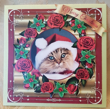 CHRISTMAS MINI KIT - CAT IN THE HAT  by Deloraine Neubauer
