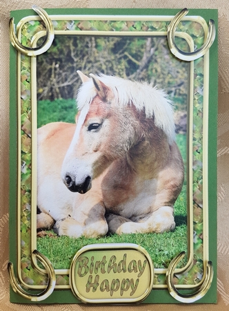 JJ LOVE MY HORSE A5 QUICK CARD 1 by Deloraine Neubauer