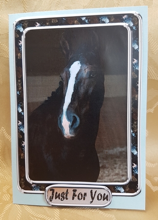 JJ LOVE MY HORSE A5 QUICK CARD 2 by Deloraine Neubauer