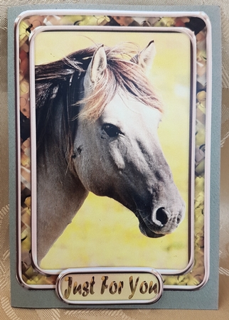 JJ LOVE MY HORSE A5 QUICK CARD 3 by Deloraine Neubauer