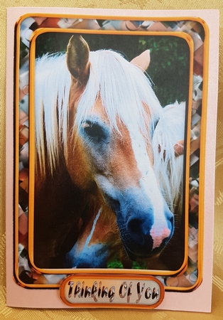 JJ LOVE MY HORSE A5 QUICK CARD 4 by Deloraine Neubauer