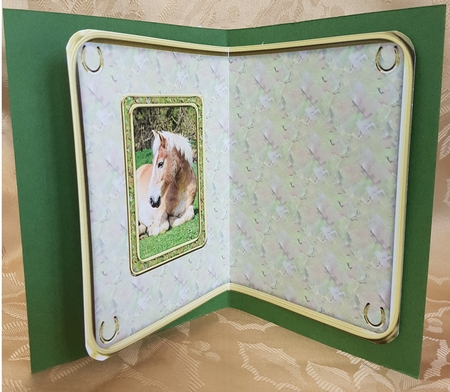 JJ LOVE MY HORSE A5 QUICK CARD 1 INSERT BLANK by Deloraine Neubauer