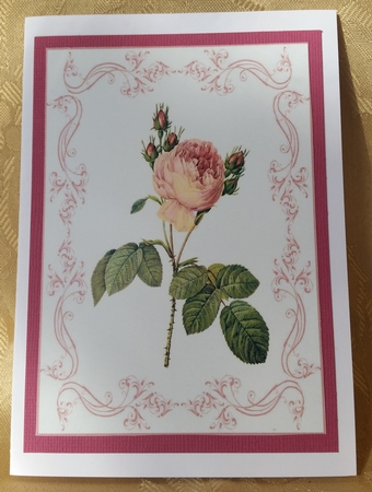Beautiful Rose A4 Topper/card by Deloraine Neubauer
