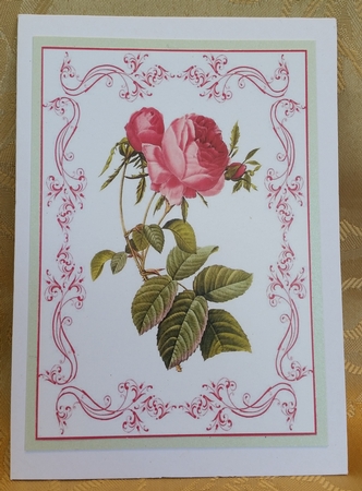Beautiful Rose A4 Topper/card by Deloraine Neubauer