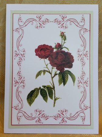 Beautiful Rose A4 Topper/card by Deloraine Neubauer