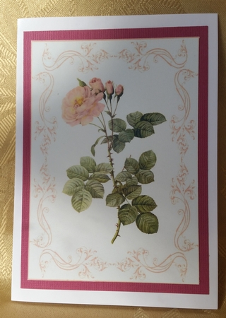 Beautiful Rose A4 Topper/card by Deloraine Neubauer