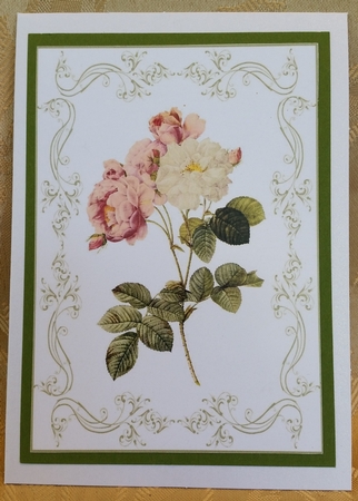 Beautiful Rose A4 Topper/card by Deloraine Neubauer