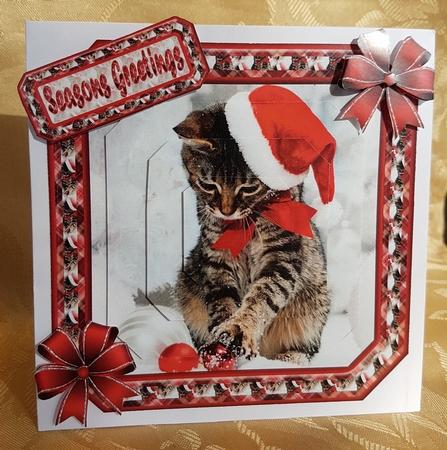 JJ PETS LOVE CHRISTMAS TOO CUTE CAT 5X5 PYRAMAGE by Deloraine Neubauer