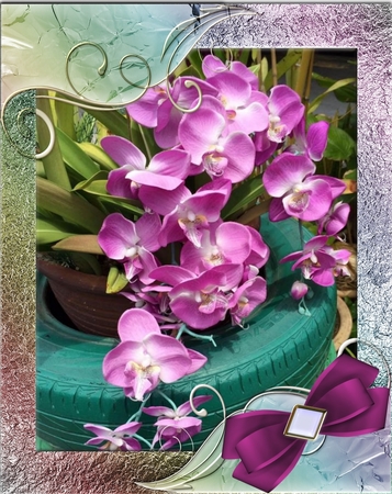 a4 frames cu4cu ok png by Deloraine Neubauer