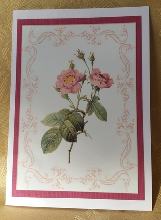 Beautiful Light Pink Rose A4 Topper/card by Deloraine Neubauer