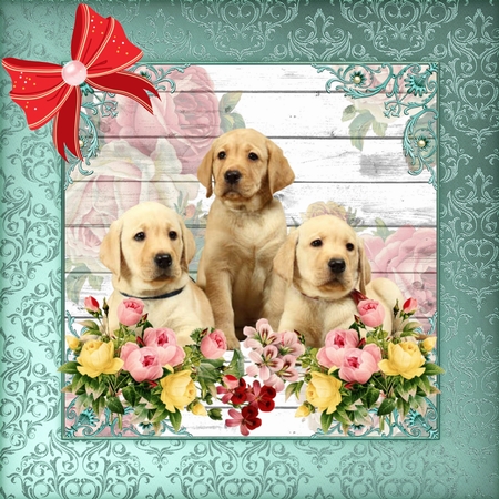10 Background papers cu4cu ok by Deloraine Neubauer