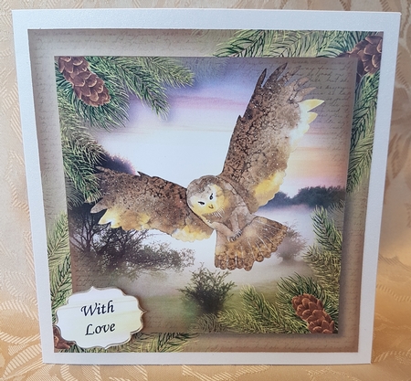 The Wild Owl - Male 8x8 by Deloraine Neubauer