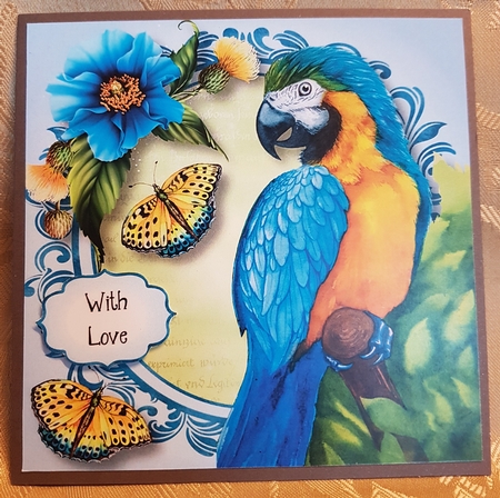 Pretty Parrot - Watercolour Wonder 8x8 by Deloraine Neubauer
