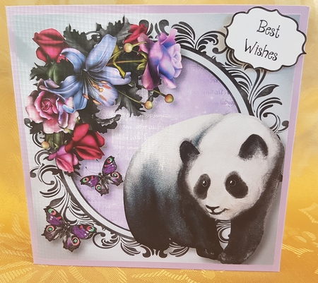 The Panda - Watercolour Wonder 8x8 by Deloraine Neubauer