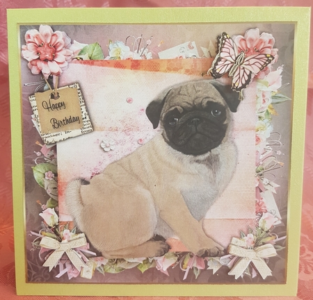 Happy Birthday Pug by Deloraine Neubauer
