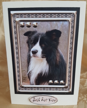 JJ LOVE MY DOG BORDER COLLIE 5X7 by Deloraine Neubauer