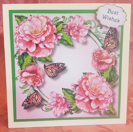 Pink Roses - Watercolour Wonder 8x8 by Deloraine Neubauer