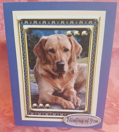JJ LOVE MY DOG LABRADOR RETRIEVER 5X7 YELLOW by Deloraine Neubauer