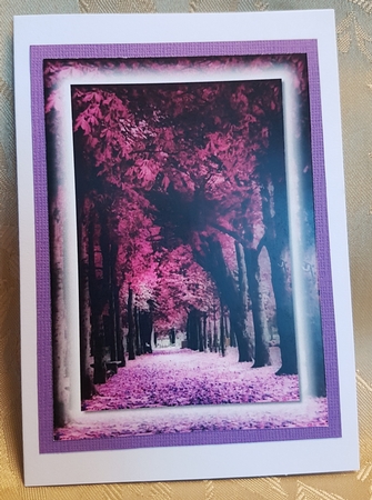 Pink and Purple Scenery Toppers and Tags 2 by Deloraine Neubauer