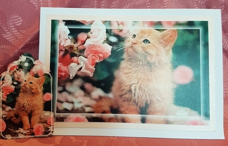 kitty Toppers with tags  by Deloraine Neubauer