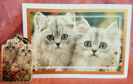 kitty Toppers with tags  by Deloraine Neubauer
