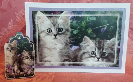 kitty Toppers with tags  by Deloraine Neubauer