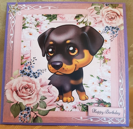 Beautiful Brown Eyed Puppy 8x8 by Deloraine Neubauer