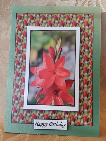 Red Flowers by Deloraine Neubauer