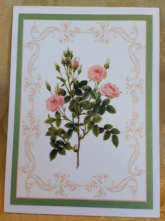 Beautiful Pink Roses A4 Topper/card by Deloraine Neubauer