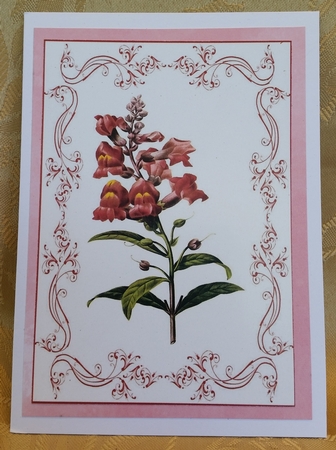 Beautiful Deep Red Floral A4 Topper/card by Deloraine Neubauer