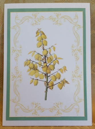Beautiful Yellow Floral A4 Topper/card by Deloraine Neubauer