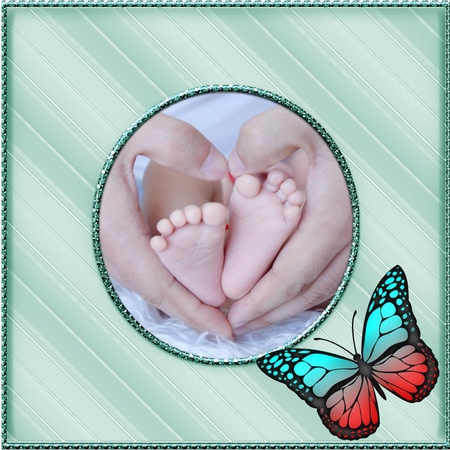 Jewel Butterflies by Deloraine Neubauer