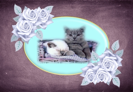 Silver Roses by Deloraine Neubauer