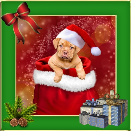 Christmas Gold Edged Frame by Deloraine Neubauer