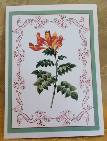Beautiful Floral A4 Topper/card by Deloraine Neubauer