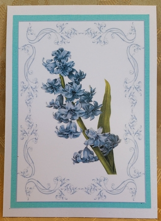Beautiful Blue Floral A4 Topper/card by Deloraine Neubauer