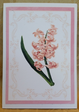Beautiful Pink Floral A4 Topper/card by Deloraine Neubauer