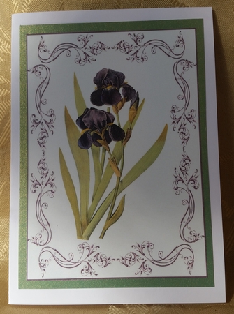 Beautiful Iris Floral A4 Topper/card by Deloraine Neubauer