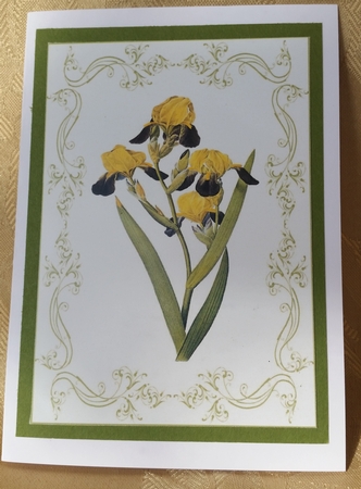 Beautiful Iris A4 Topper/card by Deloraine Neubauer