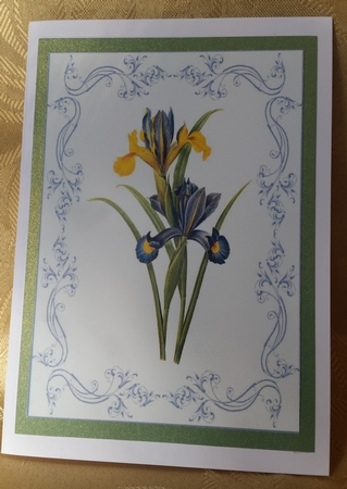 Beautiful Iris A4 Topper/card by Deloraine Neubauer