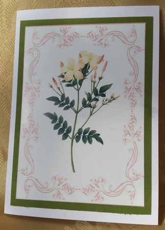 Beautiful Delicate Floral A4 Topper/card by Deloraine Neubauer