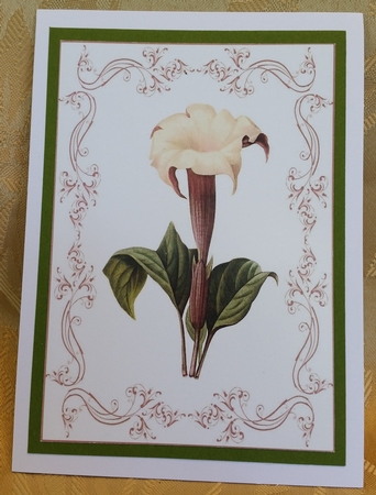Beautiful Delicate Floral A4 Topper/card by Deloraine Neubauer