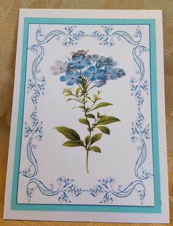 Beautiful Delicate Blue Floral A4 Topper/card by Deloraine Neubauer