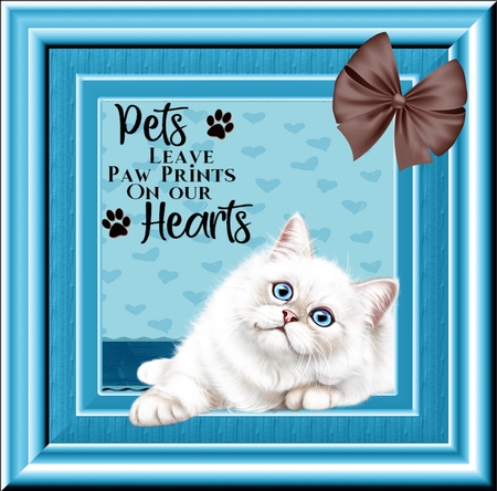 Sweet Bows 3 by Deloraine Neubauer