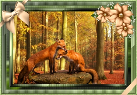 Sweet Bows 7 by Deloraine Neubauer